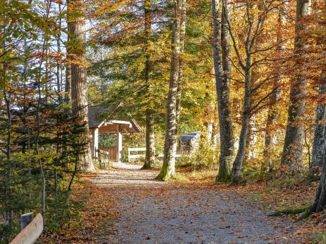 Es ist Herbst! Es ist Herbst!