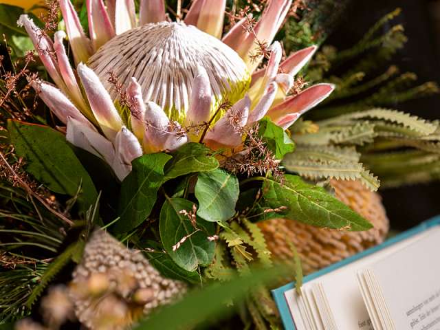 Feiern & Lesen Feiern & Lesen